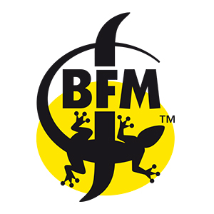 logo-bfm